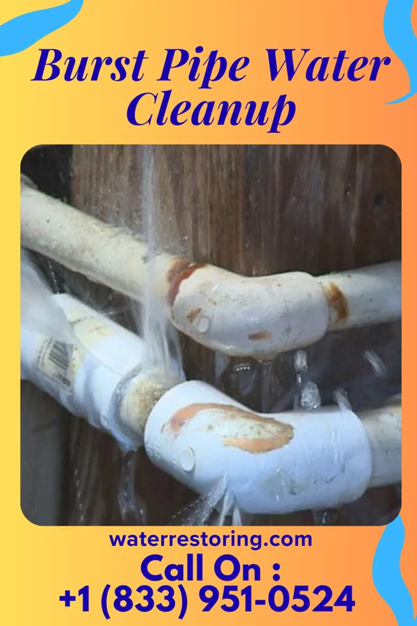 Burst Pipe Water Cleanup in Cape Girardeau, MO