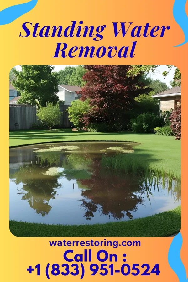 Standing Water Removal in Cape Girardeau, MO